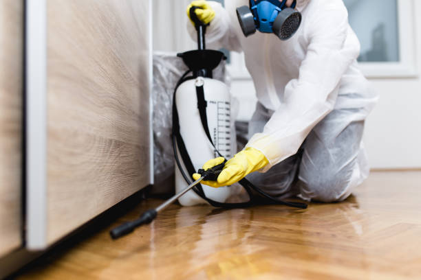 Reliable Spring Ridge, MD Pest Control Solutions