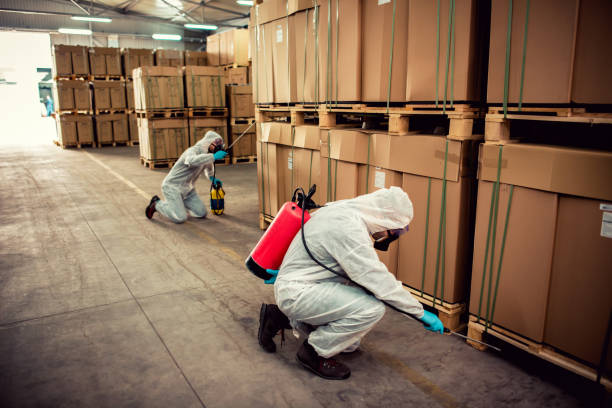 Best Cockroach Control Services  in Spring Ridge, MD
