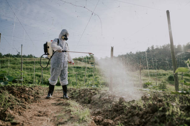 Best Mosquito Control Services  in Spring Ridge, MD