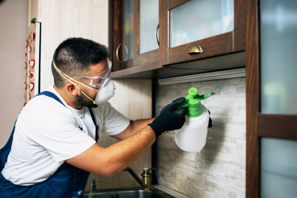 Best Exterminator Services  in Spring Ridge, MD