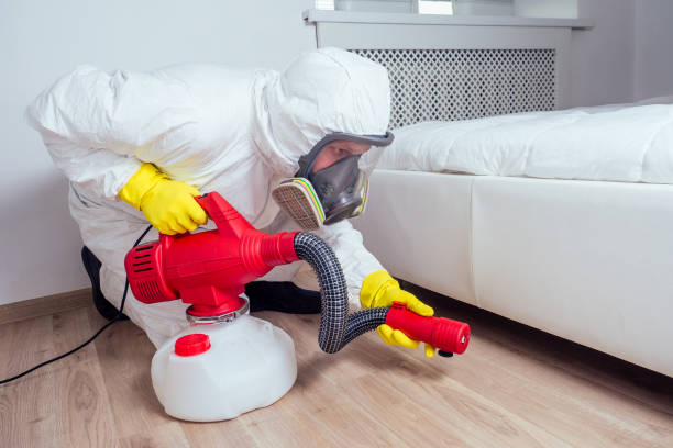 Best Local Pest Control Services  in Spring Ridge, MD
