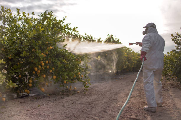 Best Pest Control Near Me  in Spring Ridge, MD