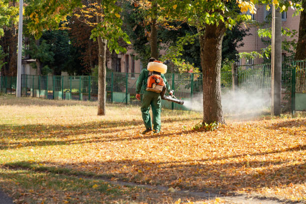Best Emergency Pest Control  in Spring Ridge, MD