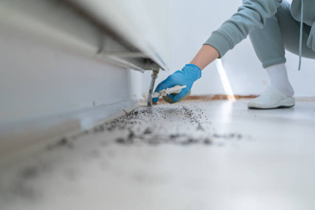 Best Pest Prevention Services  in Spring Ridge, MD